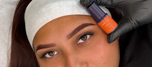 snap ppd-free tint