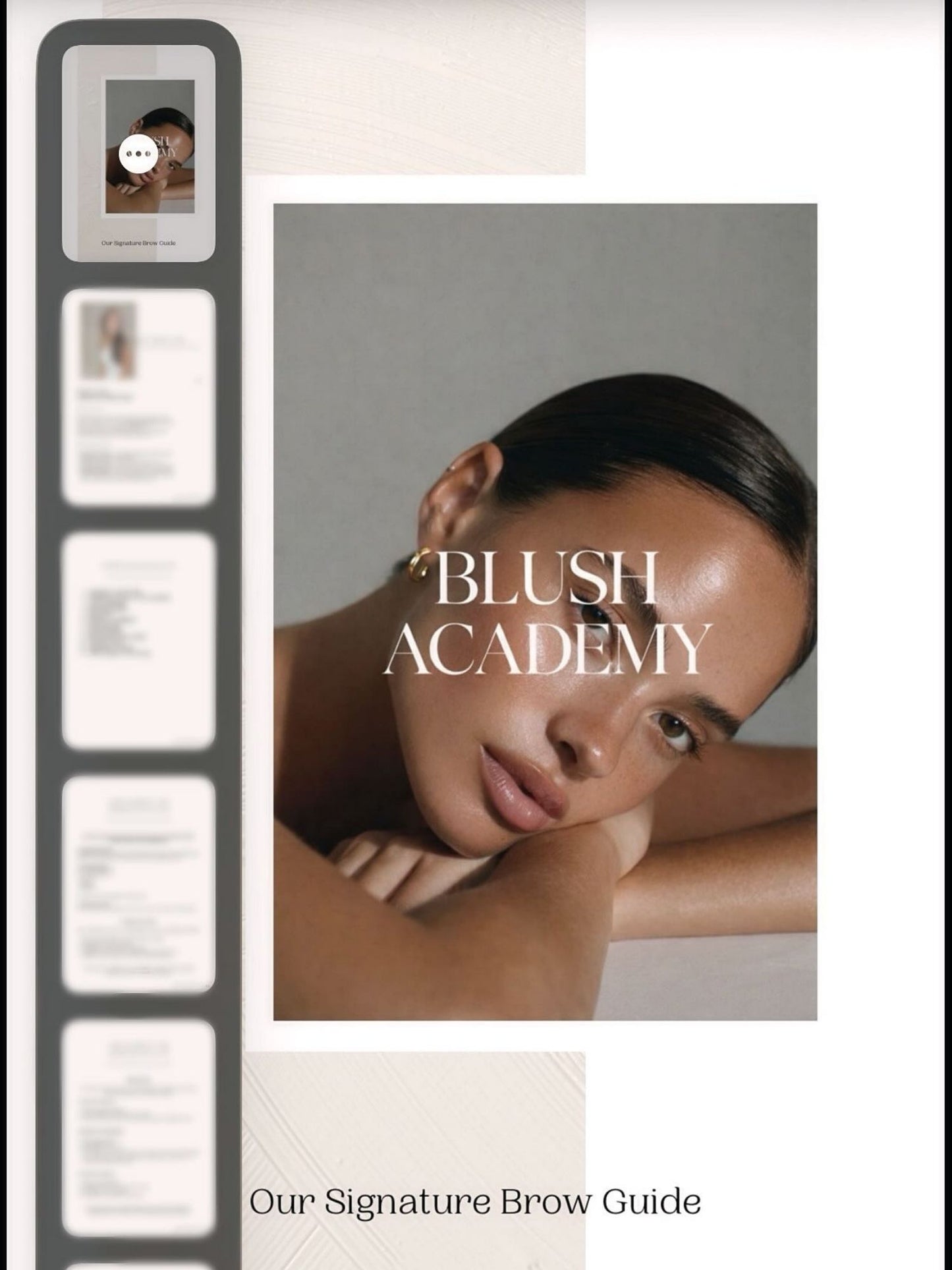 Signature Hybrid Brows E-Book | Blush Beauty Academy