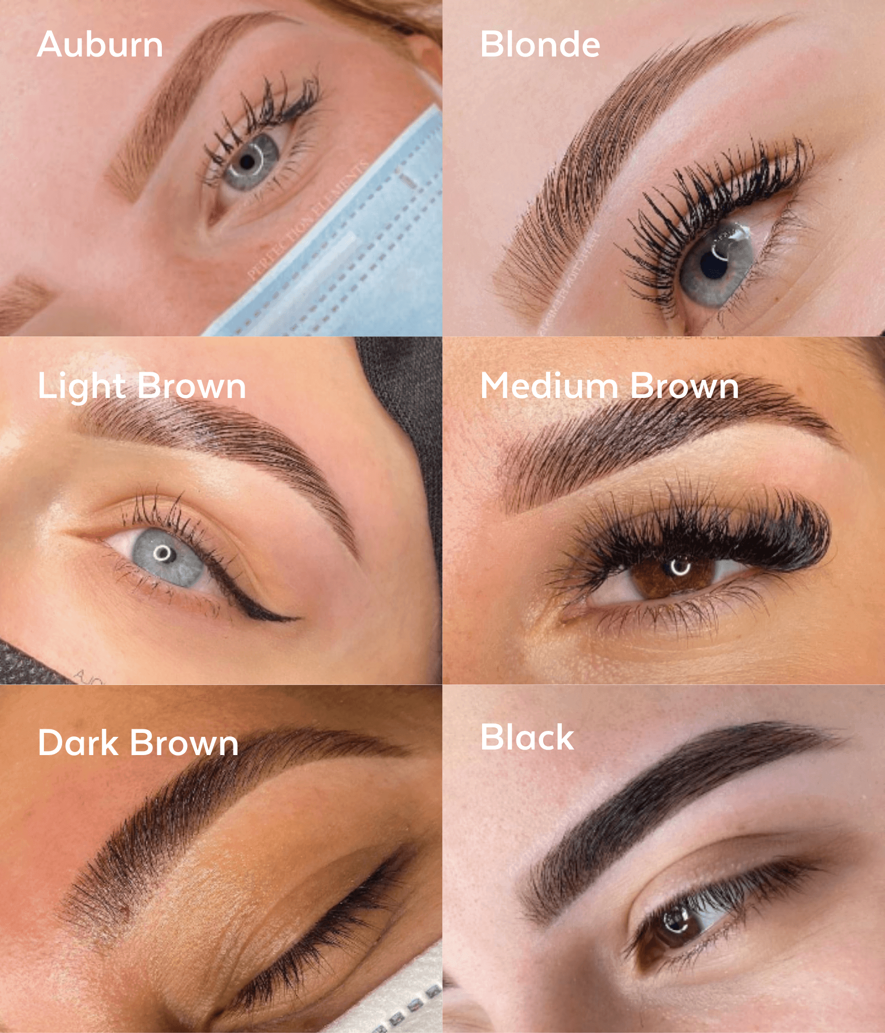 Brow Henna Starter Kit